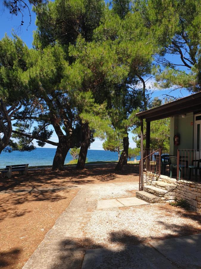 Family Bungalow Pineta Novigrad Istria 外观 照片