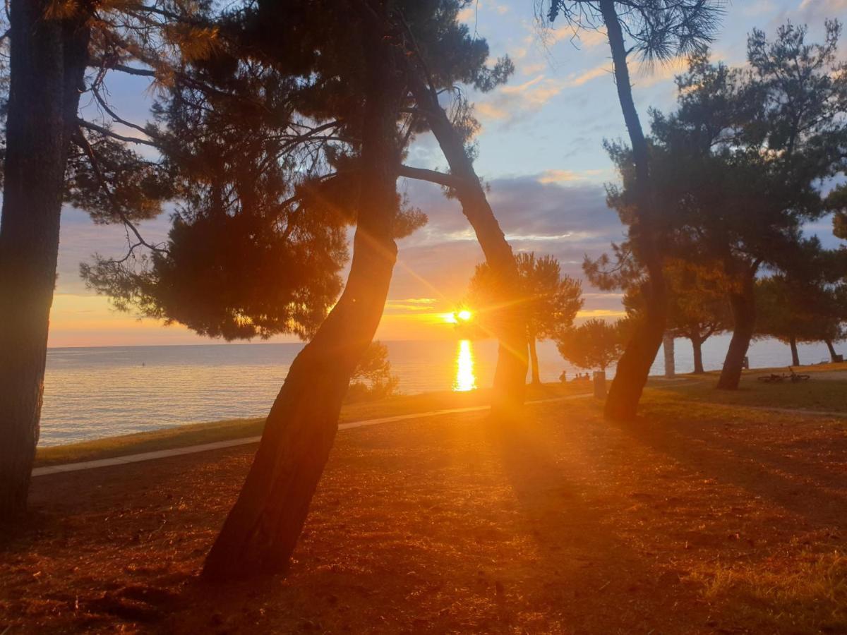 Family Bungalow Pineta Novigrad Istria 外观 照片