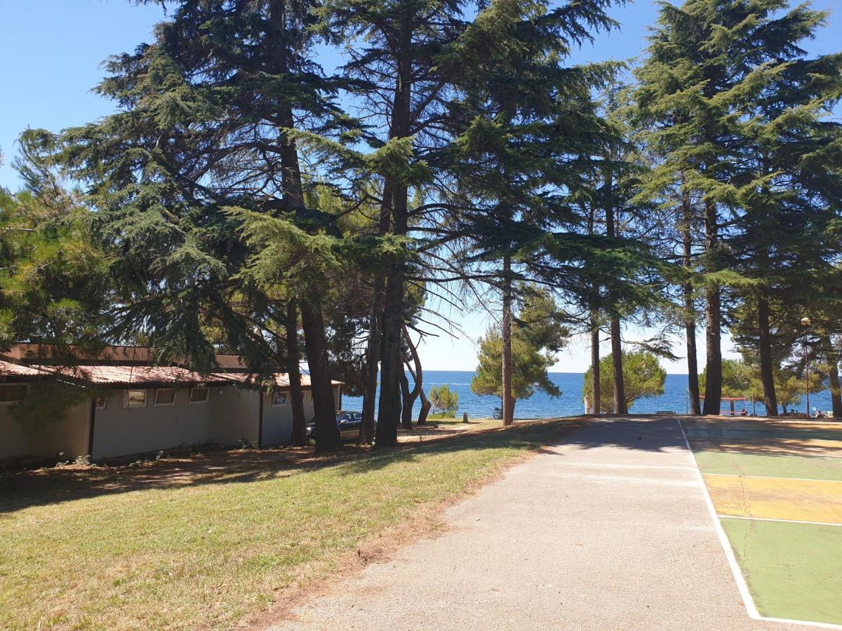 Family Bungalow Pineta Novigrad Istria 外观 照片