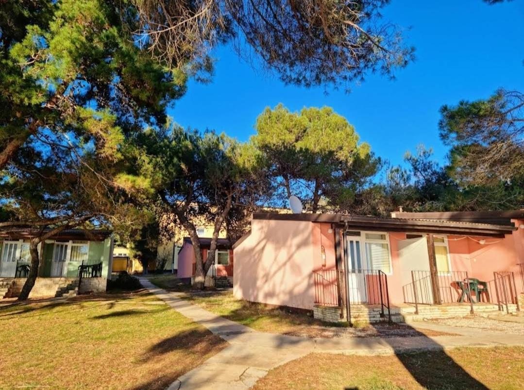 Family Bungalow Pineta Novigrad Istria 外观 照片