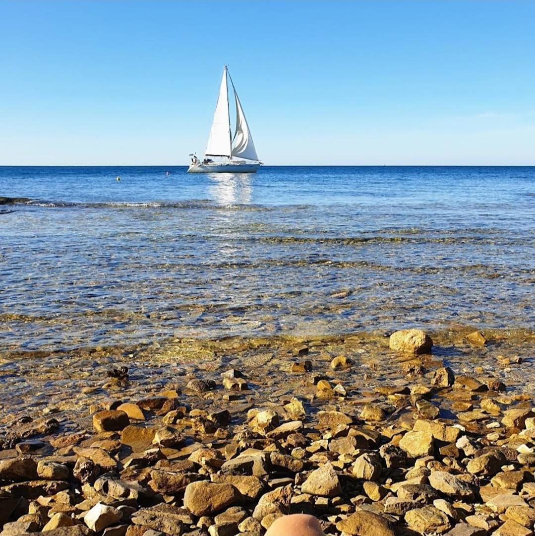 Family Bungalow Pineta Novigrad Istria 外观 照片